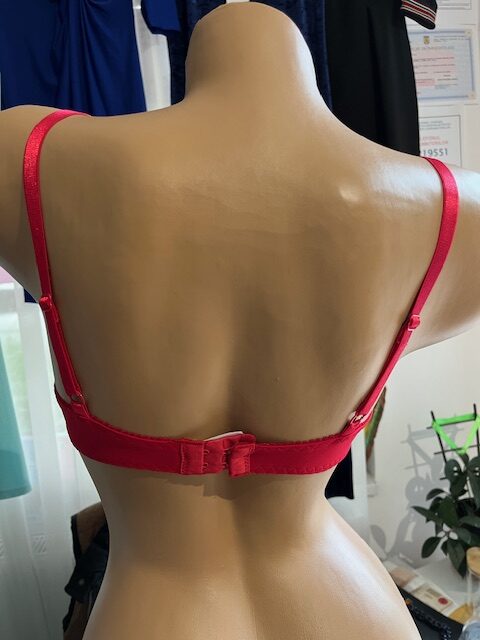 Sutien cu sarma dantelat