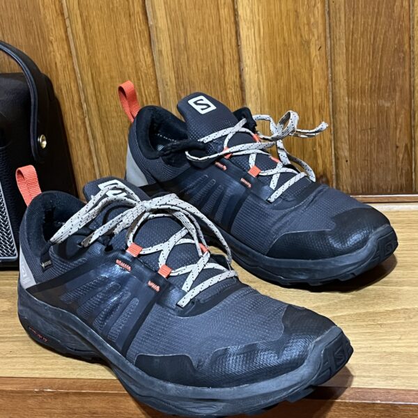 Pantofi de drumetie Salomon “X-Render”